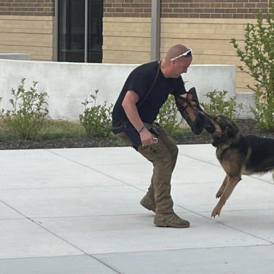 A police officer and a K9 officer demonstrate how a K9 officer grabs an arm